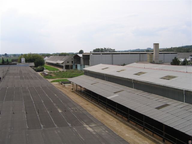 Troubelice 2006 023.jpg